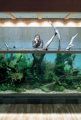 Poster 1 de Curta Takashi Amano (2015)