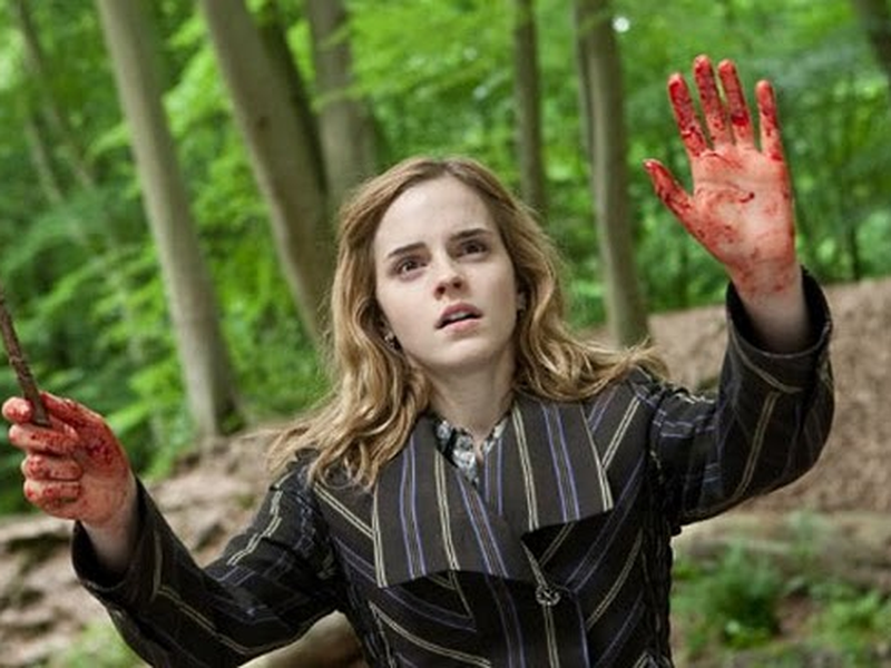 Foto 25 de Harry Potter e as Relíquias da Morte - Parte 1