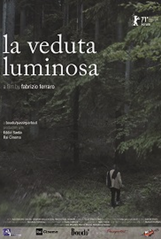 Poster 1 de Filme The Luminous View (2021)