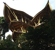 Bali: Sharma Springs