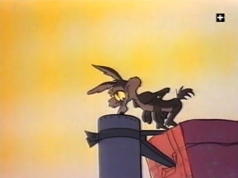 Foto 7 de Wild About Hurry