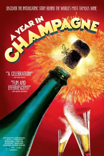 Poster de Filme Um Ano Em Champagne (2014)