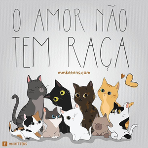 Foto de perfil de Odenice