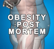 Obesidade: A Autópsia