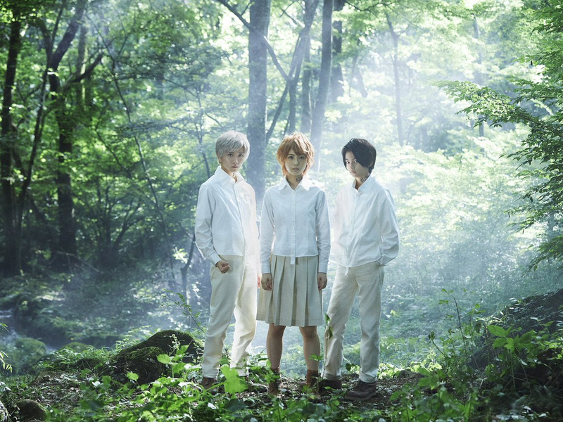 Foto 4 de Yakusoku no Neverland