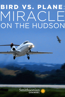 Aves x Aviões: Milagre no Rio Hudson - Poster / Capa / Cartaz - Oficial 1
