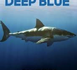 Deep Blue: Em Busca do Tubarão Gigante