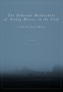 The Ethereal Melancholy of Seeing Horses in the Cold (The Ethereal Melancholy of Seeing Horses in the Cold)
