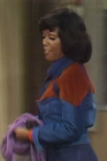 Poster de Episódio The Visitor (1974)