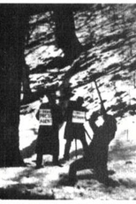 Terrível Teddy, o Rei Grizzly (Terrible Teddy, the Grizzly King)