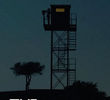The Watchman
