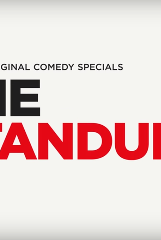 Poster 3 de Série The Standups (1ª temporada) (2017)
