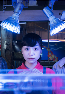 Between Men and the Gods (Between Men and the Gods)