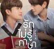 รักไม่รู้ภาษา