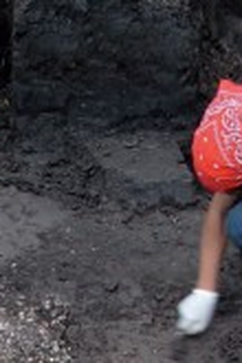 Poster de Filme Com as Mãos na Terra (None)