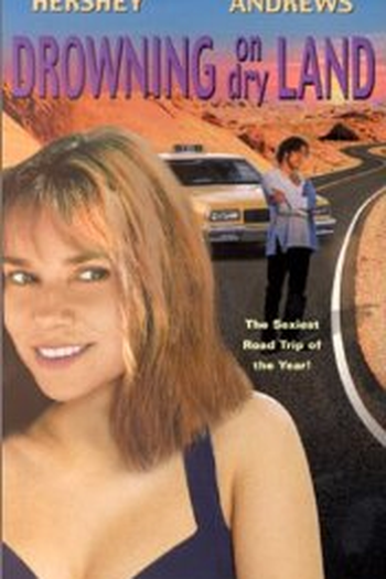 Poster de Filme Ao Final do Caminho (1999)