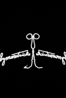 Symmetricks - Poster / Capa / Cartaz - Oficial 1