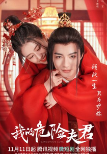 Dangerous Love (我的危险夫君)