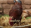 Helena, a verdadeira noiva