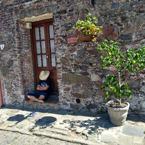 Foto de perfil de Patrik M. Gonçalves
