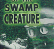 Curse of the Swamp Creature