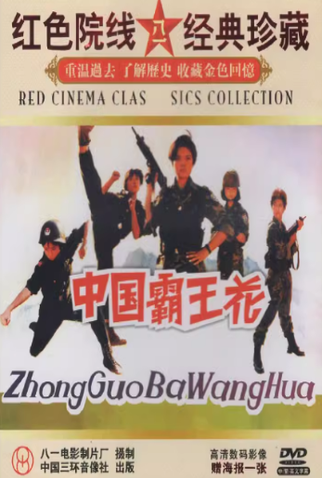 Poster 1 de Filme Chinese Policewoman (1990)