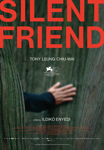 Amiga Silenciosa (Stille Freundin)