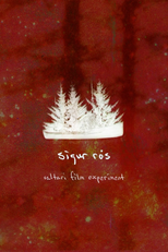 Valtari Mystery Film Experiment (Valtari Mystery Film Experiment)