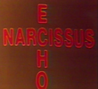 Narcissus-Echo