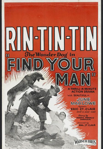 Procura Teu Dono (Find Your Man)