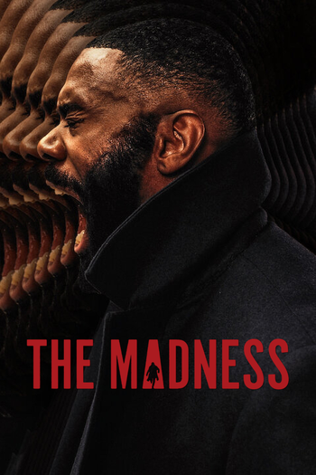 Poster de Franquia The Madness (2024)