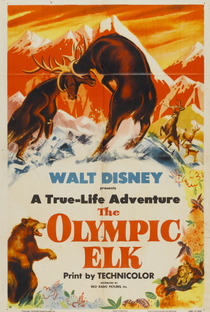 O Alce Olímpico - Poster / Capa / Cartaz - Oficial 1