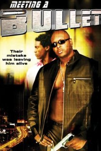 Poster de Filme Meeting a Bullet (2004)