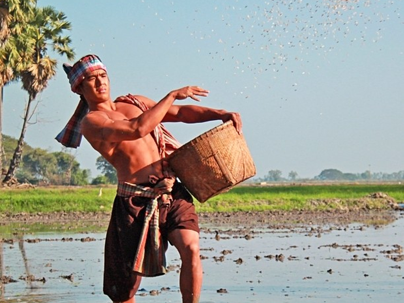 Foto 2 de PlaeKao (2014)