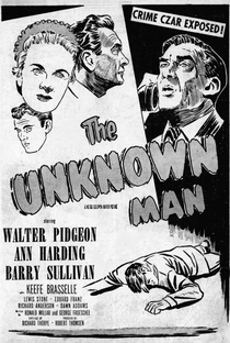 O Homem Desconhecido - Poster / Capa / Cartaz - Oficial 1