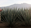 El tostoneo