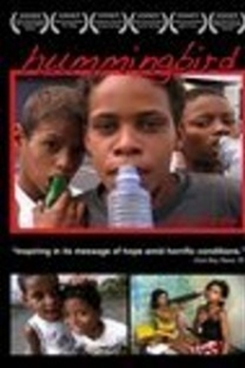  de Filme Nas Terras do Bem-Virá (2007)