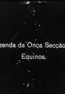 Fazenda da Onça
