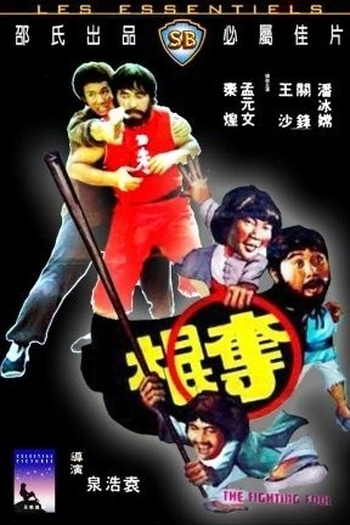 Poster de Filme The Fighting Fool (1979)