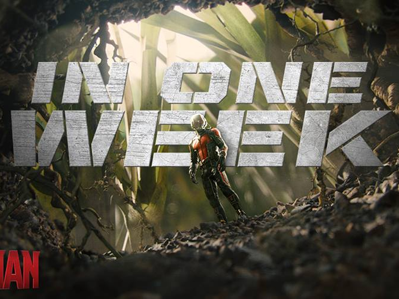 Foto 4 de Homem-Formiga