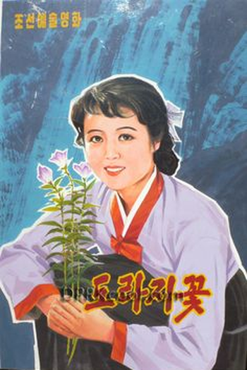 Poster de Filme A Broad Bellflower (1987)