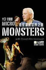 O Micromundo dos Artrópodes (Micro Monsters 3D)