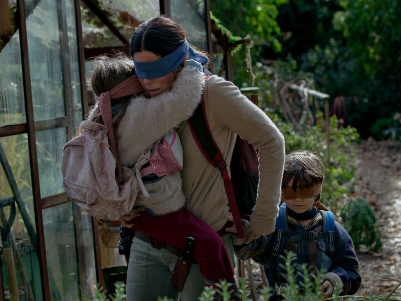 Foto 1 de Bird Box