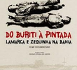 Do Buriti à Pintada Lamarca e Zequinha na Bahia