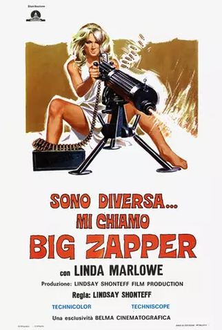 Poster 1 de Filme Big Zapper (1973)