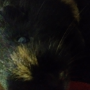 Foto de perfil de gislainevarela