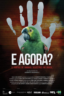 E Agora? O Tráfico de Animais Silvestres no Brasil - Poster / Capa / Cartaz - Oficial 1