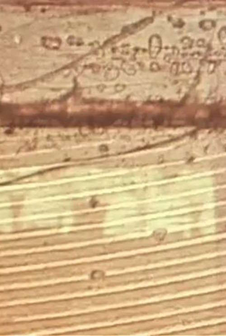 Poster 1 de Curta On the Spot (1973)