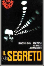 N.P. il segreto (N.P. il segreto)