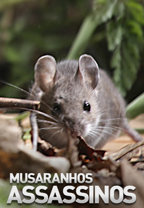Musaranhos Assassinos (Musaranhos Assassinos)